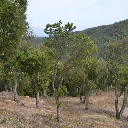 Club Villamar - Tropics *