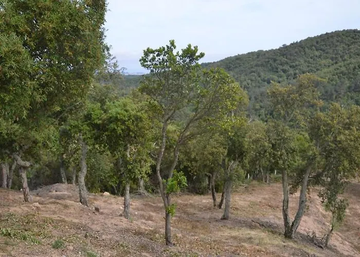 Club Villamar - Tropics *